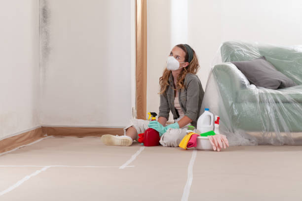 Reliable Black Mold Remediation contractor in Forest Lake, MN by Car Mold Remediation